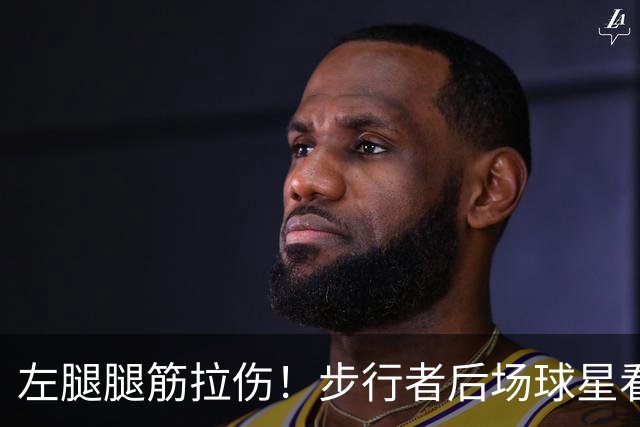 左腿腿筋拉伤！步行者后场球星看起来需要休战一段时间？