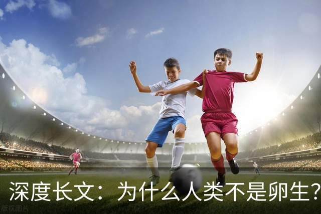 深度长文：为什么人类不是卵生？说出来你可能不信，这事3亿年前就定好了